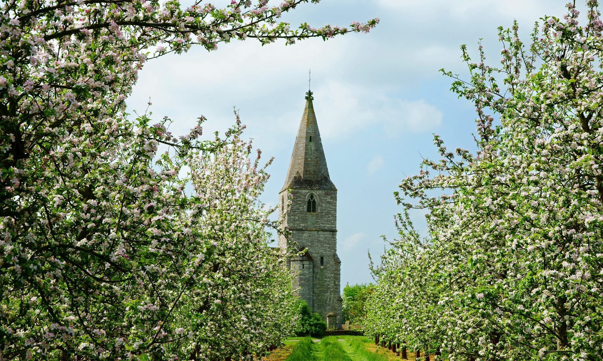 Britain importing too much, growing too little food