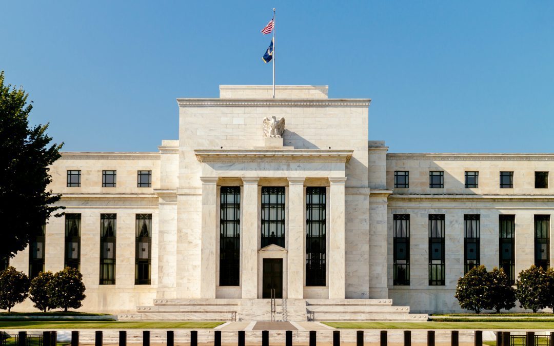 This week: autumn statement, more Fed rate hike speculation and our risk management webinar!